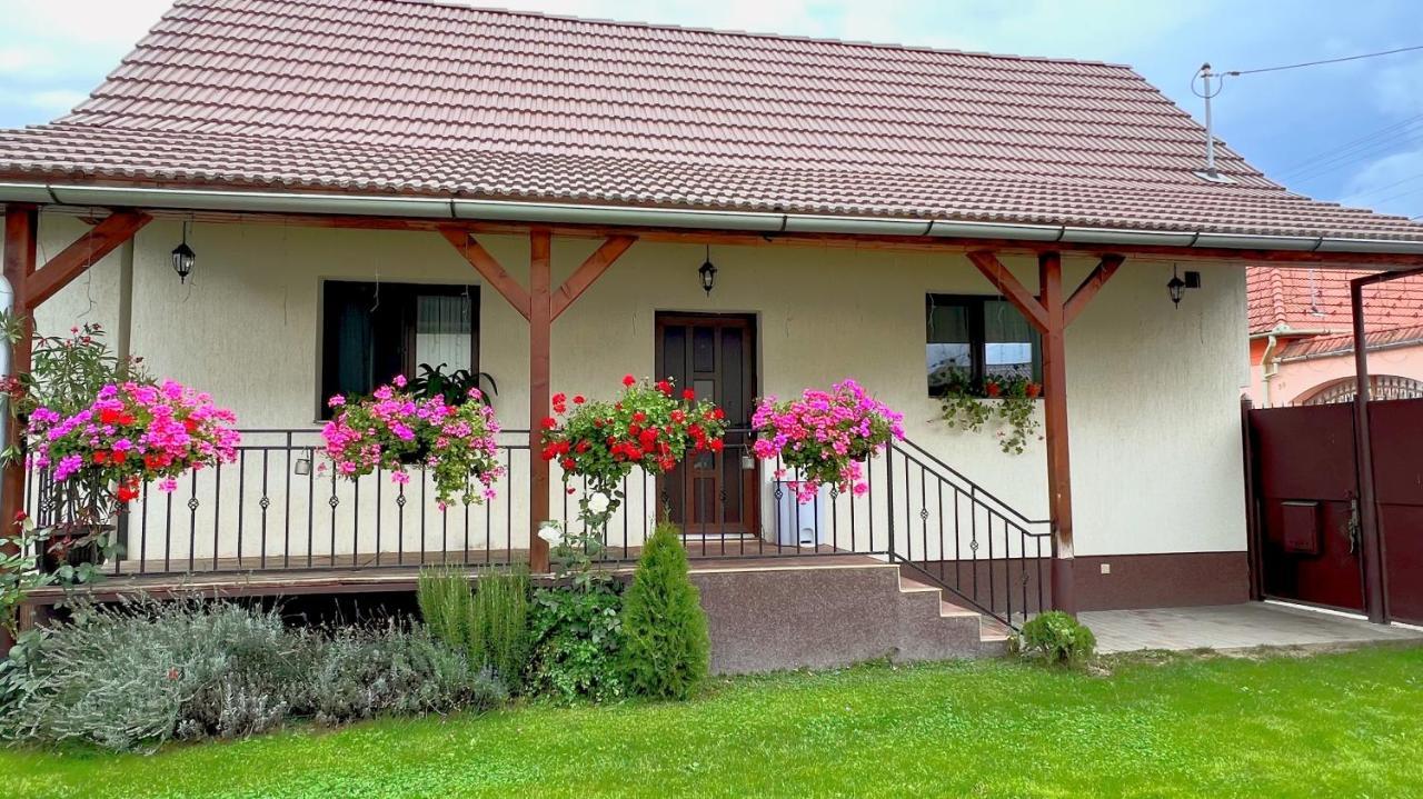 Siebenbuerger Haus Villa Sibiu Eksteriør bilde