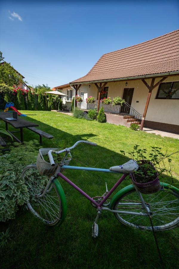 Siebenbuerger Haus Villa Sibiu Eksteriør bilde